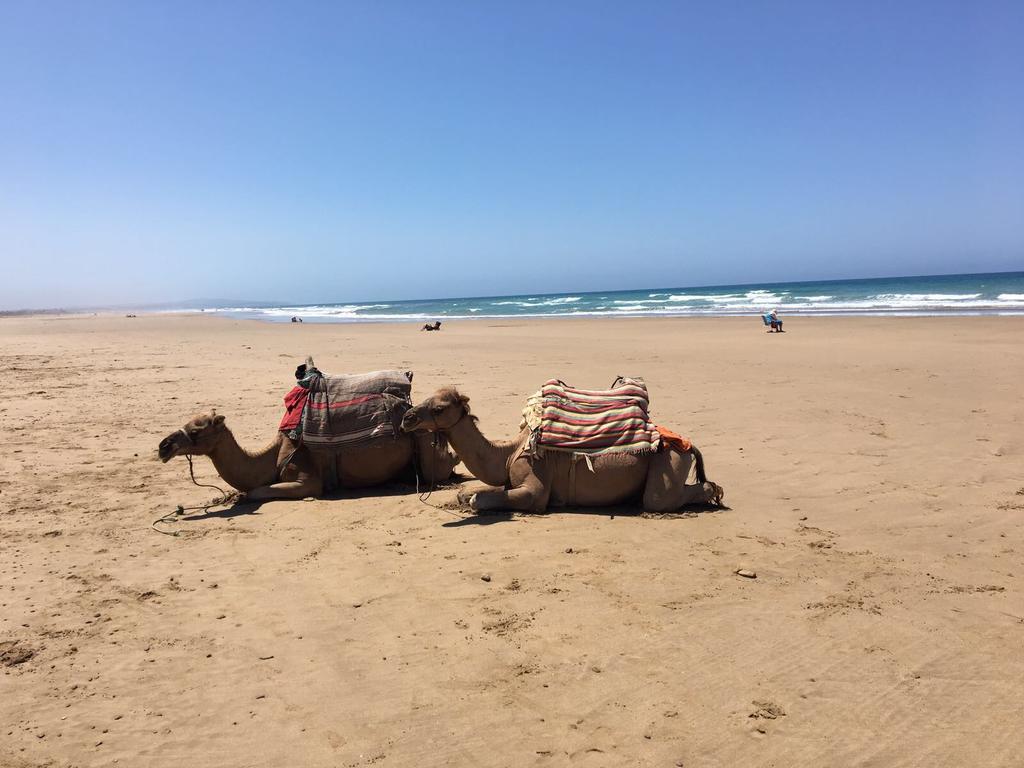 Appartement De Luxe Chez Hicham Asilah Bagian luar foto